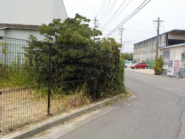 FixMyStreet Japan 半田市雑草および木の枝