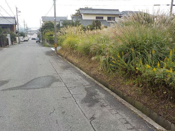 FixMyStreet Japan 半田市民地の草刈要望