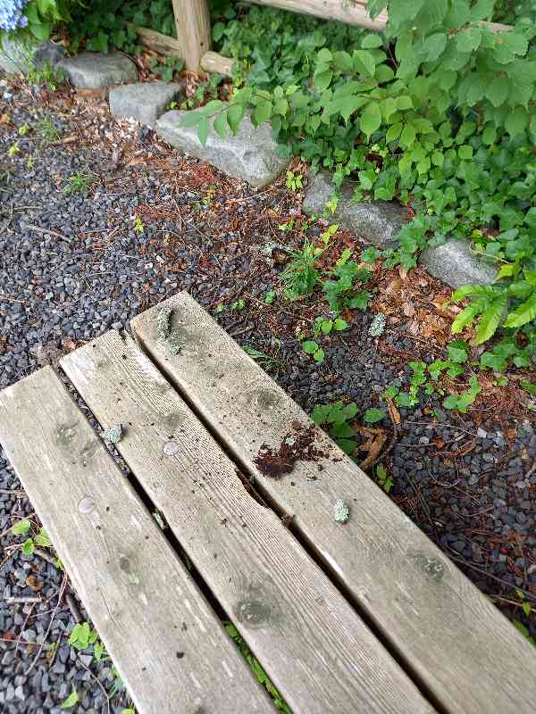 朽木がベンチに落下before2