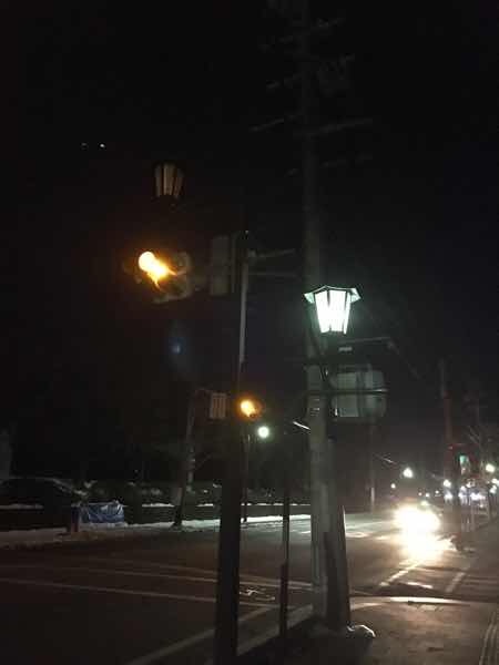 さくら通り市役所前の街灯の玉切れbefore2