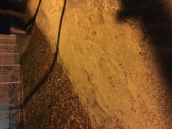 歩道に砂があり自転車走行が危険before2