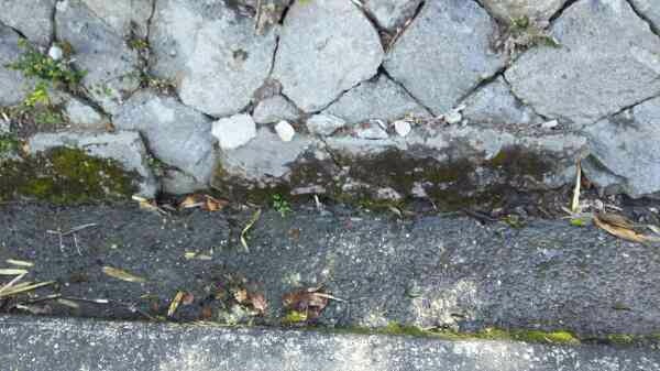 側溝のコンクリート剥がれbefore2