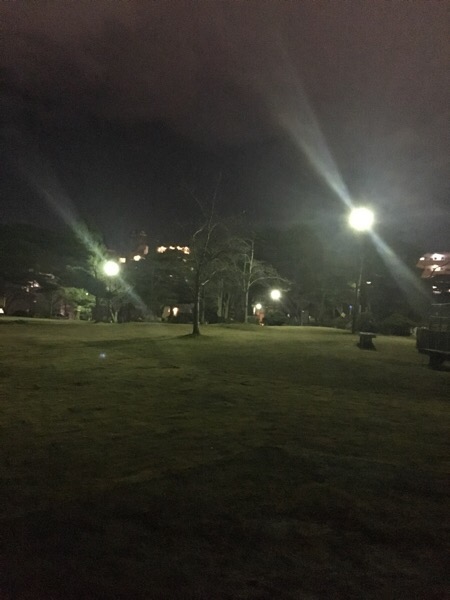 公園内照明灯の球切れ解決前2