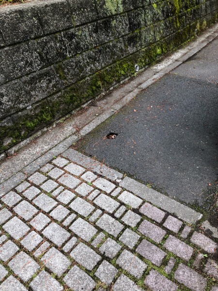 鶴ヶ丘小学校近くの歩道に穴が開いてます。before2