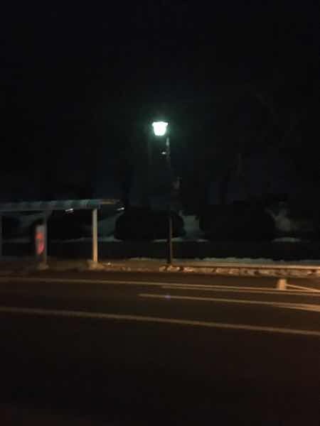 さくら通り市役所前の街灯の玉切れbefore3