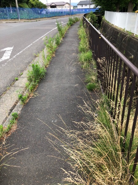 通学路における 歩道の除草、水路の除草before3