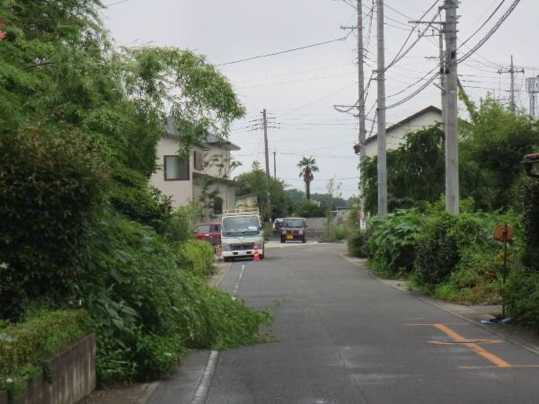 竹藪から竹が倒れ道路の一部をふさぐbefore