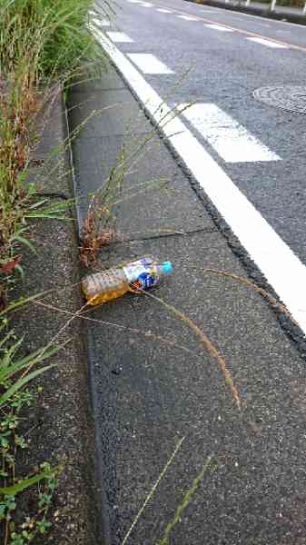 路上のゴミ 尿入りペットボトルbefore