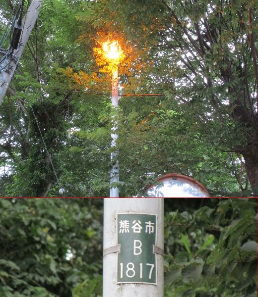 熊谷市・交差点照明樹木で隠れるbefore