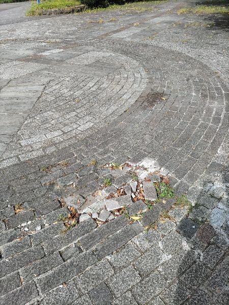 榴ヶ岡公園入口近くの石畳が破損before
